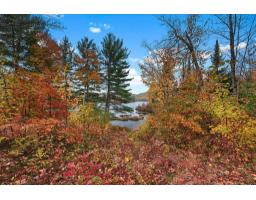 25 Ch. Du Lac-murray, Otter Lake, QC J0X2P0 Photo 39
