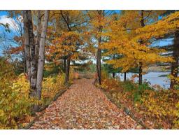 25 Ch. Du Lac-murray, Otter Lake, QC J0X2P0 Photo 40