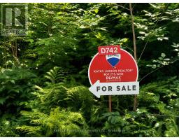 D742 Dam Road, Rainy River Remote Area, ON P0W1E0 Photo 19