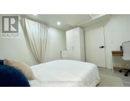 Lower - 145 Boston Avenue, Toronto, ON M4M2T8 Photo 11