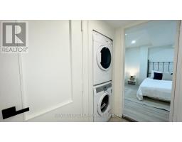 Lower - 145 Boston Avenue, Toronto, ON M4M2T8 Photo 17