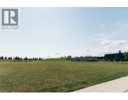 29 Anquetel Street, Red Deer, AB T4R1G6 Photo 33