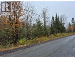 Kingsley Road, photo 18