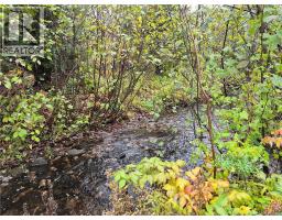 Kingsley Road, photo 8