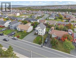 53 Lawrence Pond Road, Conception Bay South, NL A1X4C3 Photo 28