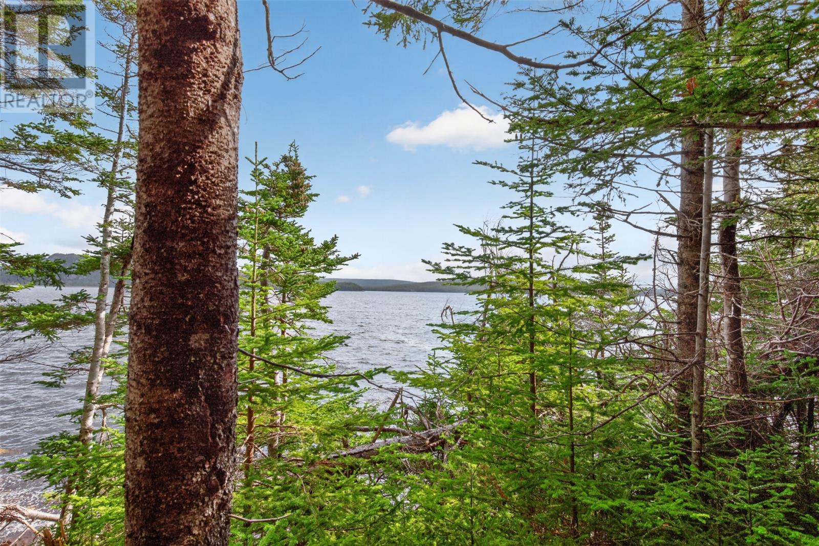 199A Bonds Path - 36