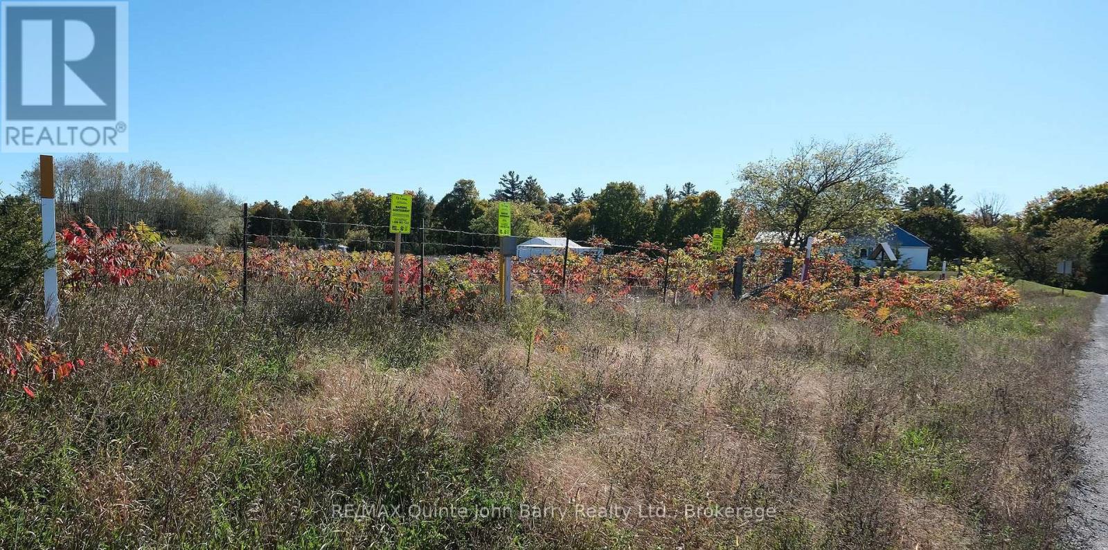 190 Downs Road — photo 43