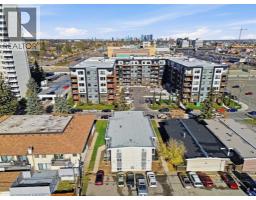 3, 609 67 Avenue Sw, Calgary, AB T2V0M3 Photo 28
