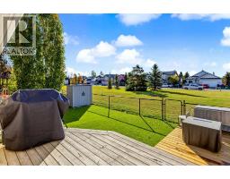 224 Hillvale Crescent, Strathmore, AB T1P1S7 Photo 28