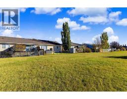 224 Hillvale Crescent, Strathmore, AB T1P1S7 Photo 31
