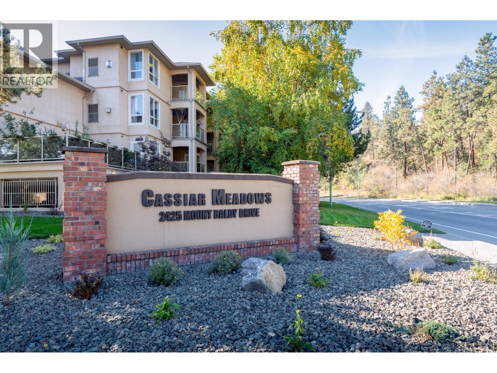 #19 2425 Mount Baldy Drive - 51