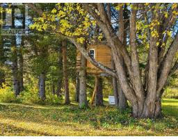5049 Mapleward Road, Thunder Bay, ON P7G1R7 Photo 49