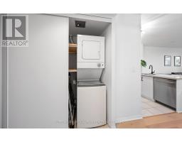 1110 - 219 Fort York Boulevard, Toronto, ON M5V1B1 Photo 19