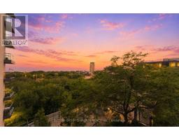 1110 - 219 Fort York Boulevard, Toronto, ON M5V1B1 Photo 23