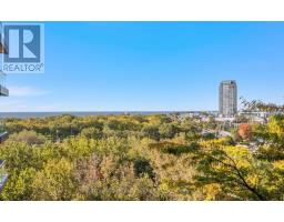 1110 - 219 Fort York Boulevard, Toronto, ON M5V1B1 Photo 25