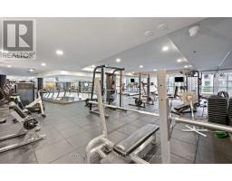 1110 - 219 Fort York Boulevard, Toronto, ON M5V1B1 Photo 36
