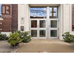 501b - 245 Carlaw Avenue, Toronto, ON M4M2S1 Photo 22