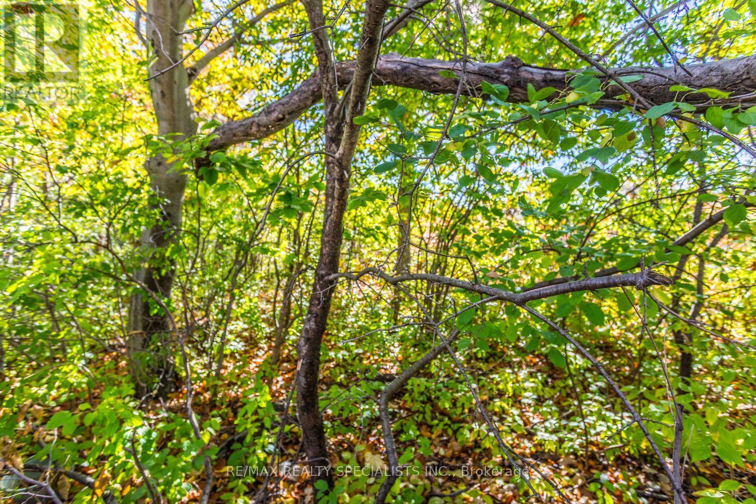2454 Montagne Avenue, Oakville, ON photo 44