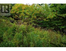 205 Hartling Road, West Quoddy, NS B3L4P2 Photo 14