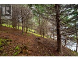 205 Hartling Road, West Quoddy, NS B3L4P2 Photo 15