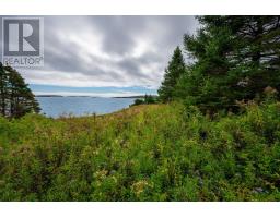 205 Hartling Road, West Quoddy, NS B3L4P2 Photo 16