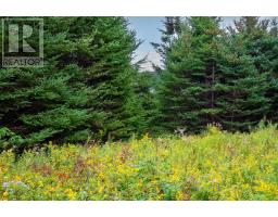 205 Hartling Road, West Quoddy, NS B3L4P2 Photo 18