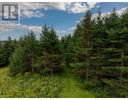 205 Hartling Road, West Quoddy, NS B3L4P2 Photo 9
