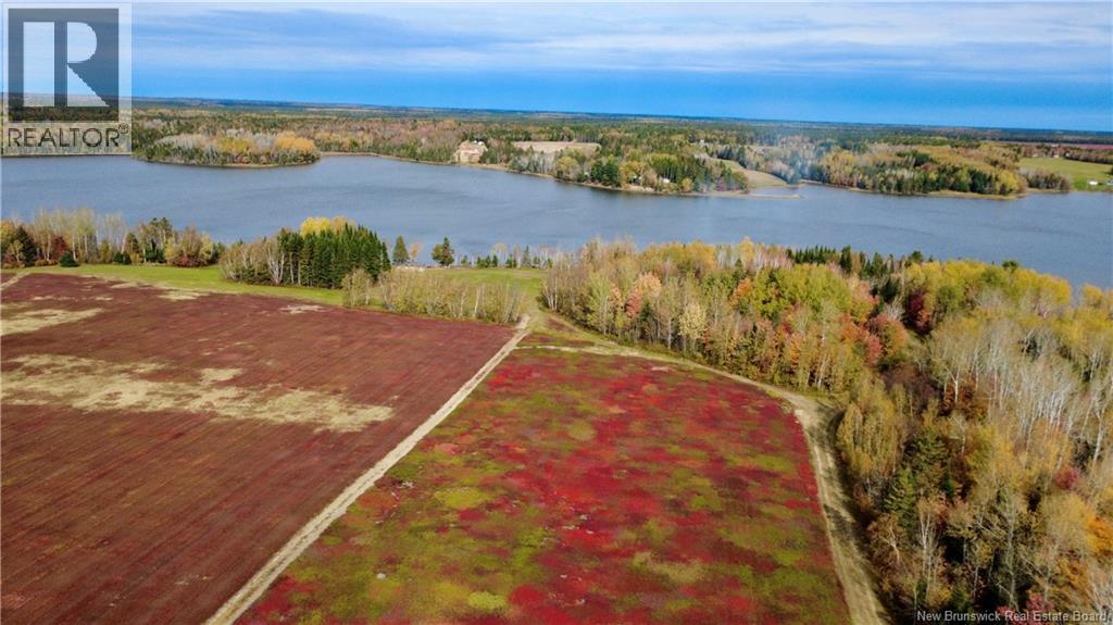 31.7 Acres Straight Brook Road - 6
