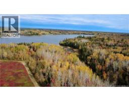 31.7 Acres Straight Brook Road, Tabusintac, NB E9H2B3 Photo 7