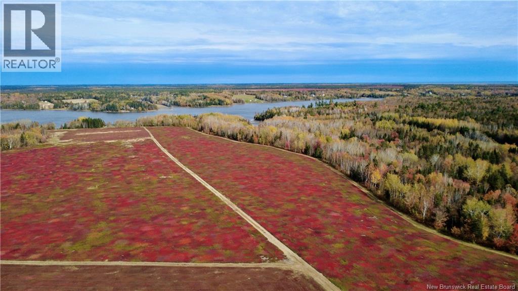 31.7 Acres Straight Brook Road - 8