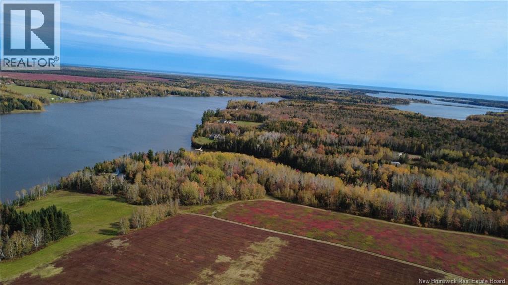 31.7 Acres Straight Brook Road - 18