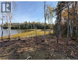 31.7 Acres Straight Brook Road, Tabusintac, NB E9H2B3 Photo 44