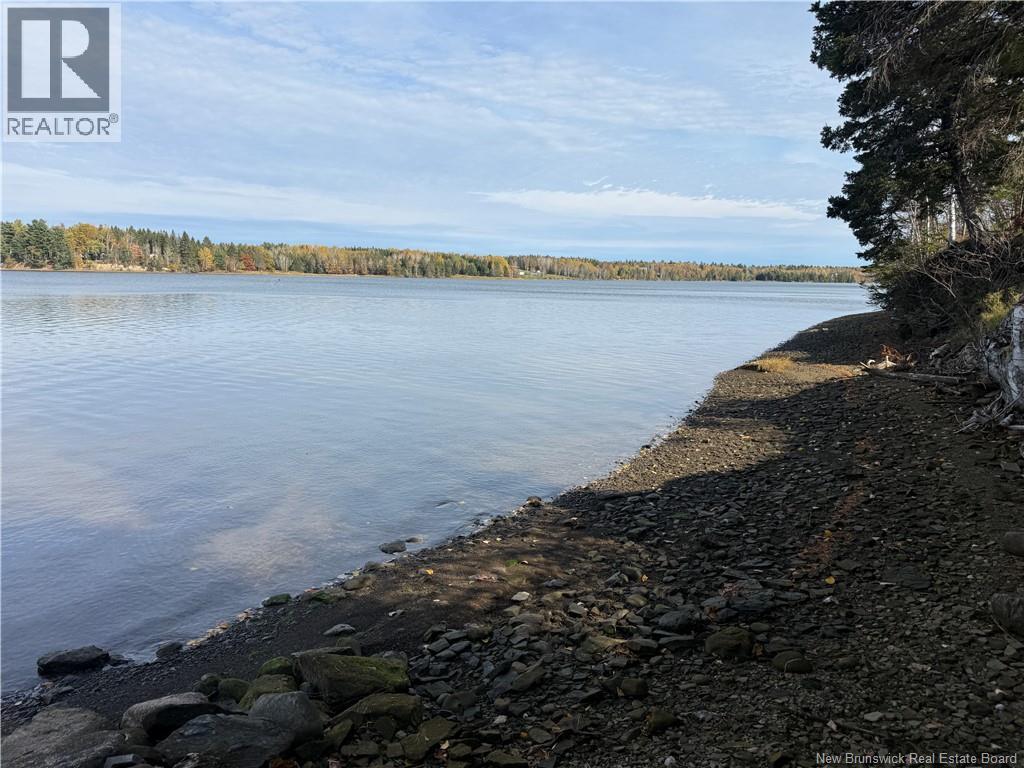 31.7 Acres Straight Brook Road - 47