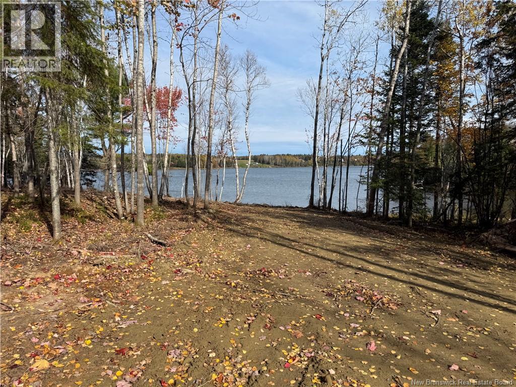 31.7 Acres Straight Brook Road - 43
