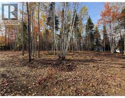 31.7 Acres Straight Brook Road, Tabusintac, NB E9H2B3 Photo 46