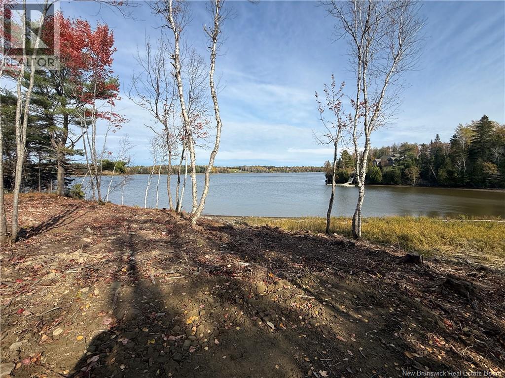 31.7 Acres Straight Brook Road - 45