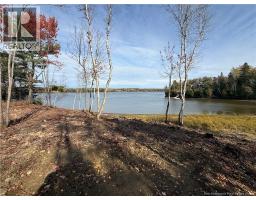 31.7 Acres Straight Brook Road, Tabusintac, NB E9H2B3 Photo 45