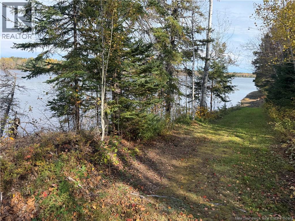 31.7 Acres Straight Brook Road - 42