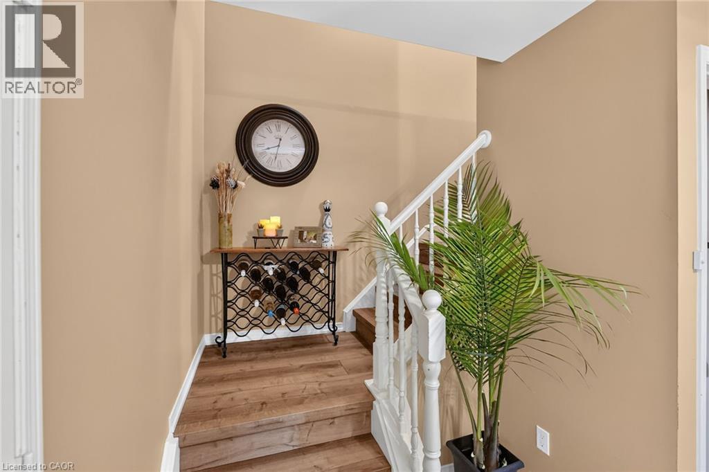11 Hedge Lawn Drive — photo 17