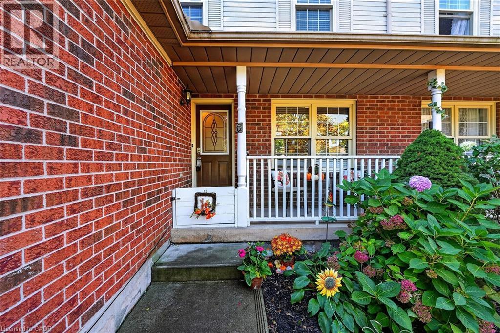 11 HEDGE LAWN Drive - 3