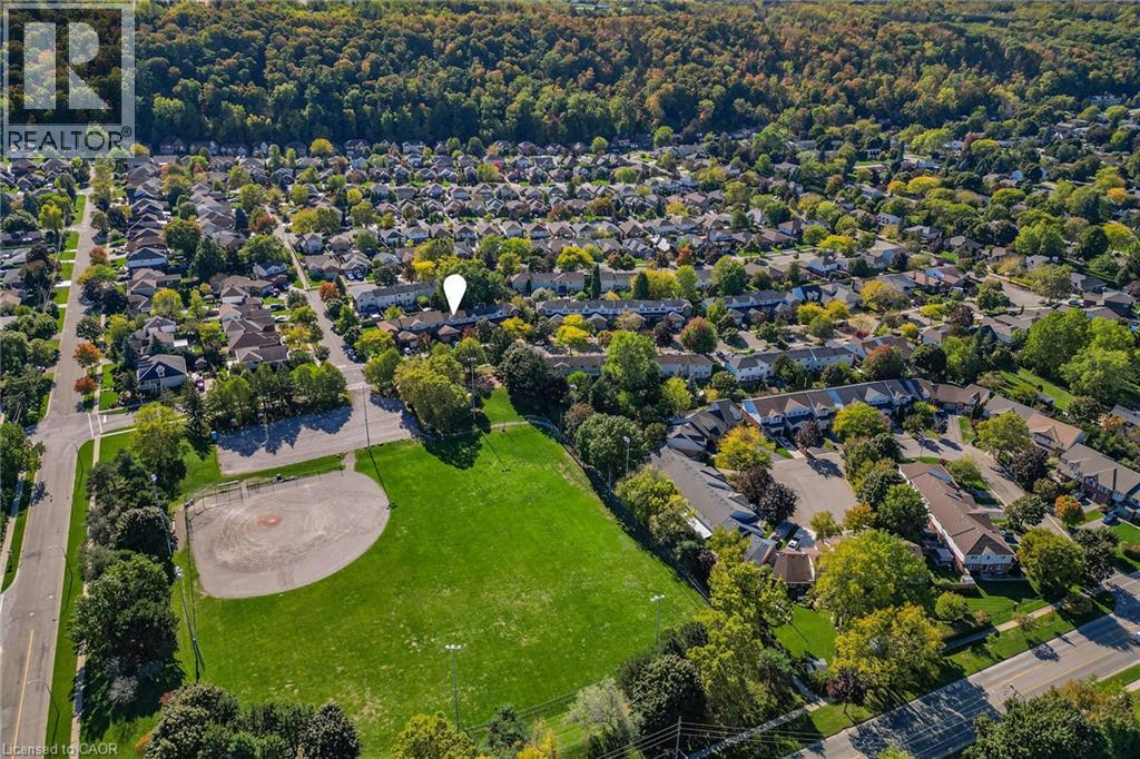 11 HEDGE LAWN Drive - 4