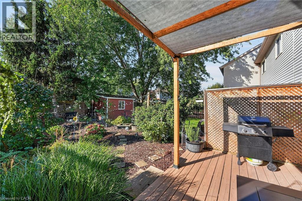 11 HEDGE LAWN Drive - 40