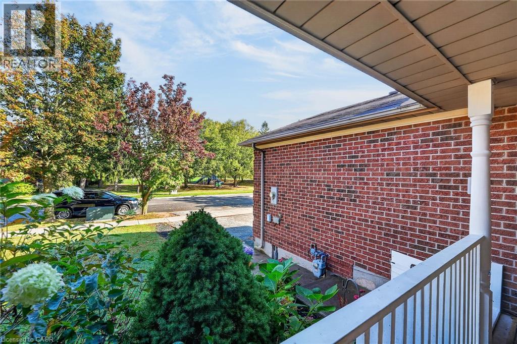 11 HEDGE LAWN Drive - 42
