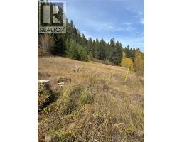 11105 North Fork Road, Grand Forks, BC V0H1H8 Photo 16