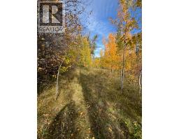 11105 North Fork Road, Grand Forks, BC V0H1H8 Photo 17