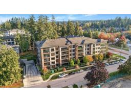 408 14588 Mcdougall Drive, Surrey, BC V4P0H1 Photo 39