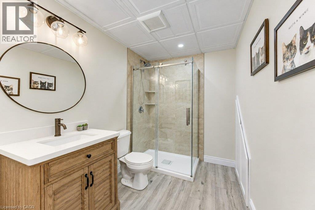 524 Sundew Drive — photo 31
