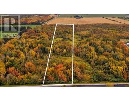 1659 County Road 92, Springwater, ON L0L1P0 Photo 6
