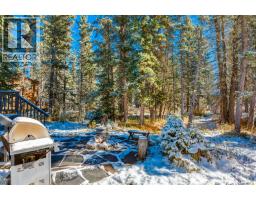 9 Redwood Meadows Close, Rural Rocky View County, AB T0L0K0 Photo 40