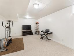 243 Marygrove Crescent, Winnipeg, MB R3Y1M4 Photo 29